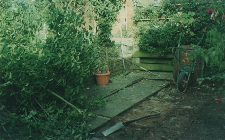 Before transformation 11